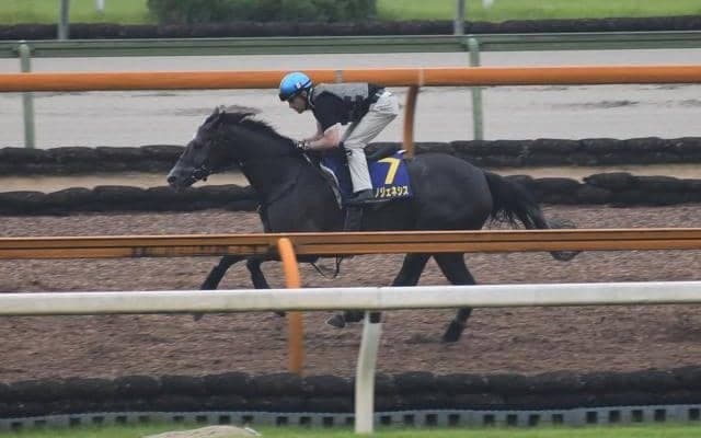 クロノジェネシス、宝塚記念1週前追い切り速報/栗東トレセンニュース