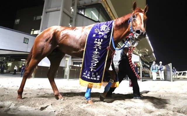 【川崎・スパーキングスプリント】1番人気に応えたカプリフレイバー　真島大輔騎手「短いところならもっともっと大きなところも狙える馬」