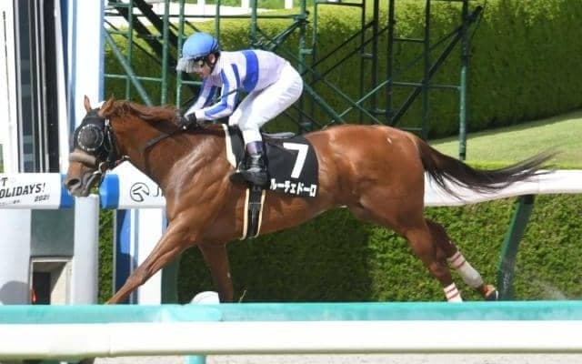 【ユニコーンS枠順確定】ルーチェドーロは大外8枠16番、ラペルーズは2枠4番