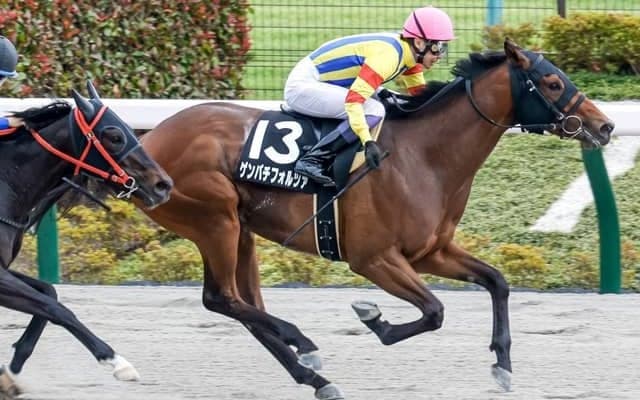 【ユニコーンS予想】人気中心の素質馬に注意警報 定年間近の師は4年ぶり重賞制覇のチャンスだが…/JRAレース展望