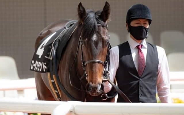 【米子S】ロータスランド辻野師「この馬のポテンシャルが出せるようになってきた」/ねぇさんのトレセン密着