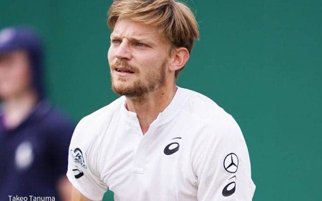 ゴファン、右足首のねんざでウィンブルドン欠場を表明