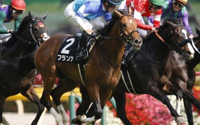 【本日の注目ポイント】東京でOP・スレイプニルS、阪神でリステッド・米子Sなど