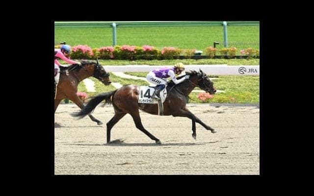 人気馬優位のユニコーンＳだが、末脚強烈な伏兵３頭に大駆けの気配あり