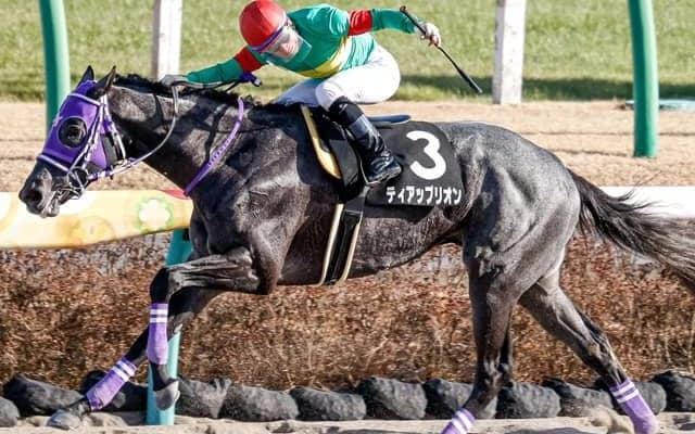 【ユニコーンS予想】ダート予想の専門家「荒れる可能性を感じます」 人気馬が強い傾向に逆らっても買いたい人気薄2頭/JRAレース展望