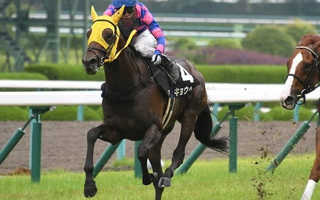 【阪神11R・米子S】重馬場巧者キョウヘイが出走取消
