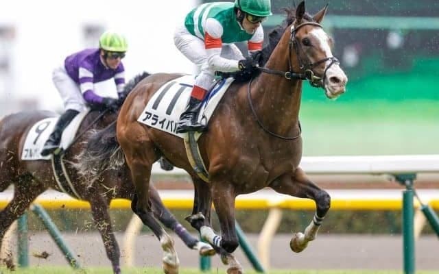 【東京5R新馬戦結果】人気のアライバルが抜け出し快勝