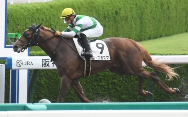 【阪神5R新馬戦結果】フェズカズマが人気に応えて快勝