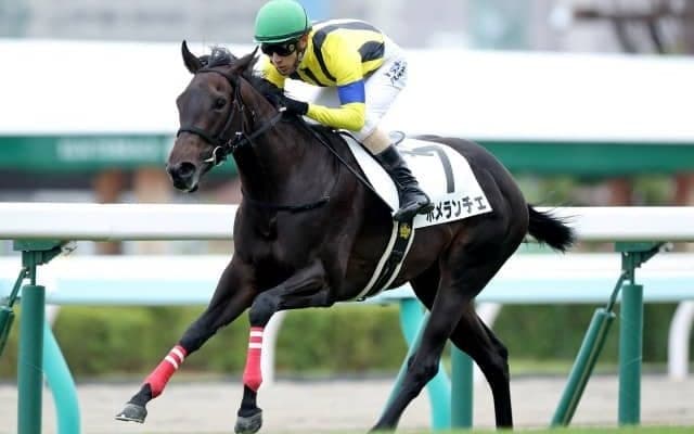 【札幌5R新馬戦結果】ポメランチェがレコードで圧勝