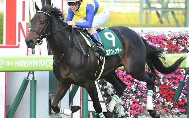 【JRA】2018年チャレンジC覇者エアウィンザーが引退、乗馬に　母はエアメサイア
