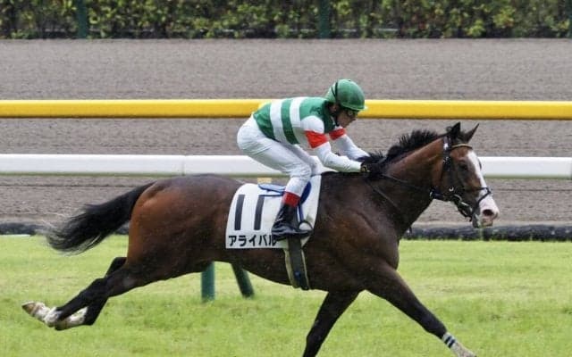 【新馬/東京5R】断然人気のアライバルがデビューV！