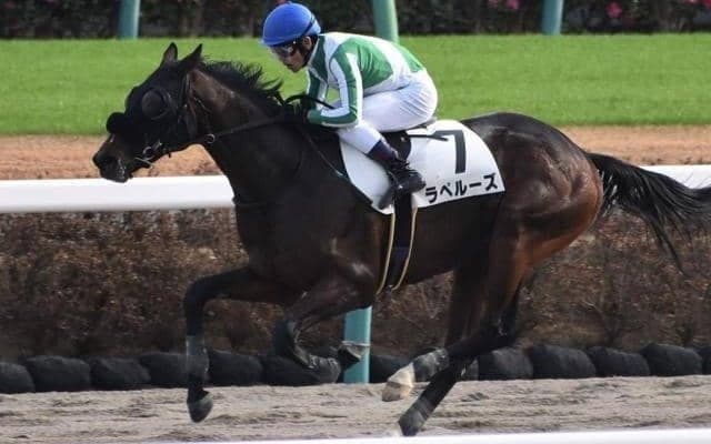 【本日の注目ポイント】東京でユニコーンS、阪神でマーメイドS