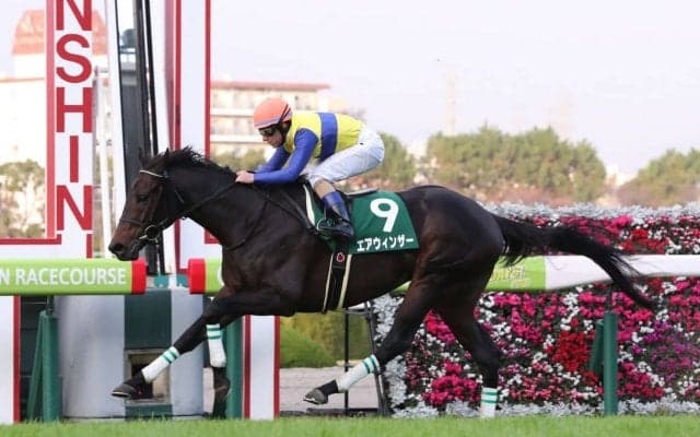 エアウィンザーが競走馬登録抹消