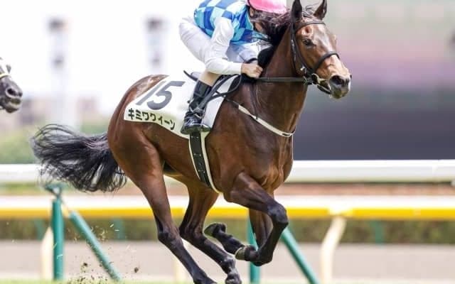 【東京5R新馬戦結果】2番人気キミワクイーンが初陣飾る