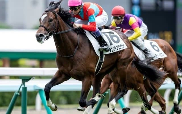 【札幌5R新馬戦結果】武豊グランアプロウソが押し切りV