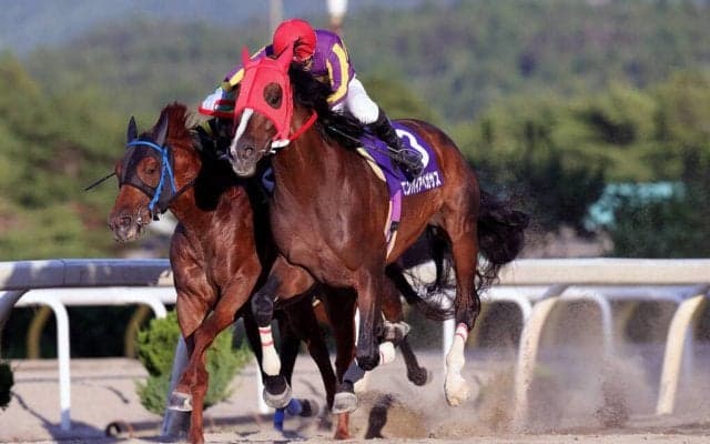 【水沢・みちのく大賞典】エンパイアペガサスが優勝！