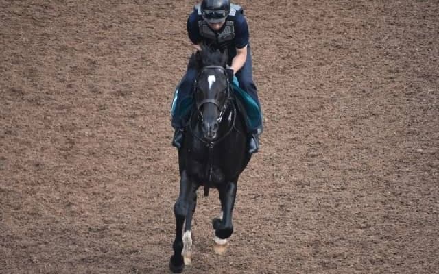 キラービューティ半弟キラーアビリティがルメール騎手でデビュー/関西馬メイクデビュー情報