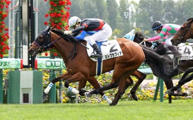 【札幌1R】ミトグラフィアがゴール寸前で差し切る