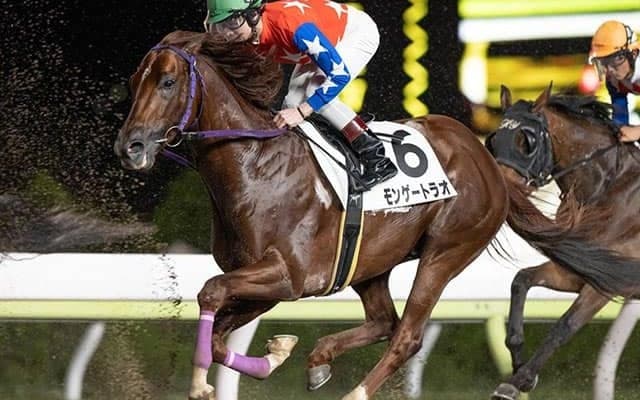 【帝王賞・選定馬更新】南関東所属のノーブルマーズなど9頭が回避　フレアリングダイヤ、モンゲートラオが繰り上がり