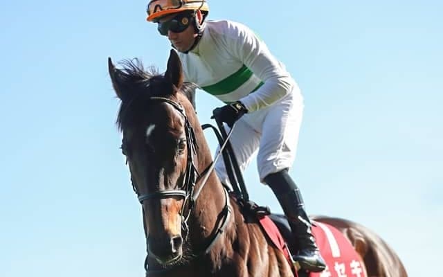 【宝塚記念予想】クロノジェネシスVSレイパパレ？ 人気の牝馬トップ3を抜いてAI予想の1番手に浮上したのは…/JRA重賞レース展望