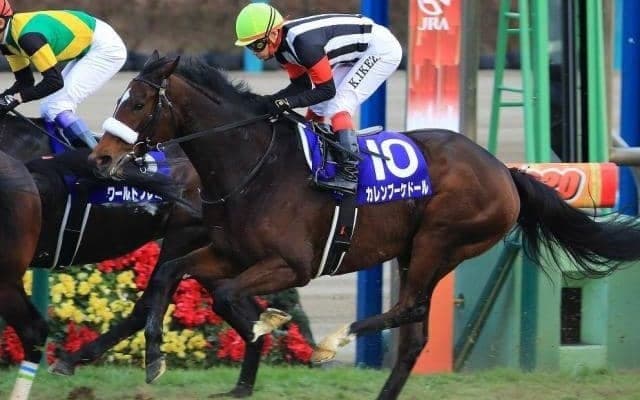 【宝塚記念展望】上半期の総決算、あの馬の戴冠を期待したい