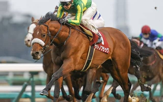 【JRA】サトノフラッグが全治6ヶ月以上の骨折、昨年の弥生賞ディープインパクト記念覇者