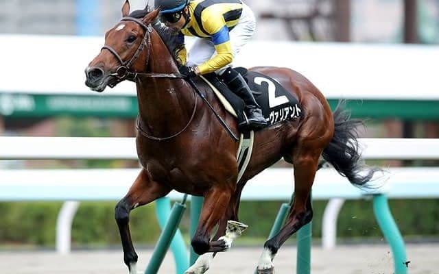 【JRA】大竹厩舎から手塚厩舎への転厩馬一覧　ブラストワンピース、ザダルなど58頭