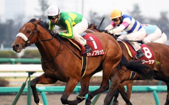 サトノフラッグが故障