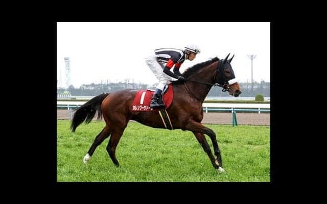 宝塚記念は第一に牝馬狙い。ＧＩでは「力不足」とされる伏兵馬にもご用心