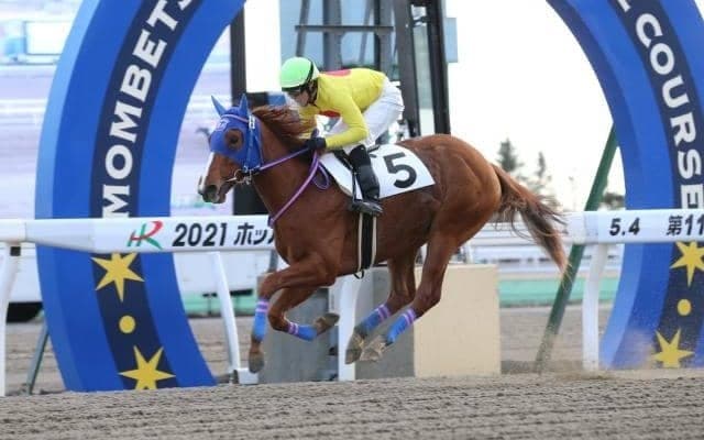 【門別競馬情報】能検＆デビュー戦で圧巻パフォーマンス「シャルフジン」ら期待馬14頭が集結！“日本一早い2歳重賞”を制するのは？「第46回栄冠賞H2」 /地方競馬情報