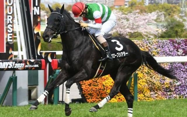 【東京ジャンプS出走馬・騎手確定】グローブシアター＆高田潤、スマートアペックス＆中村将之など14頭