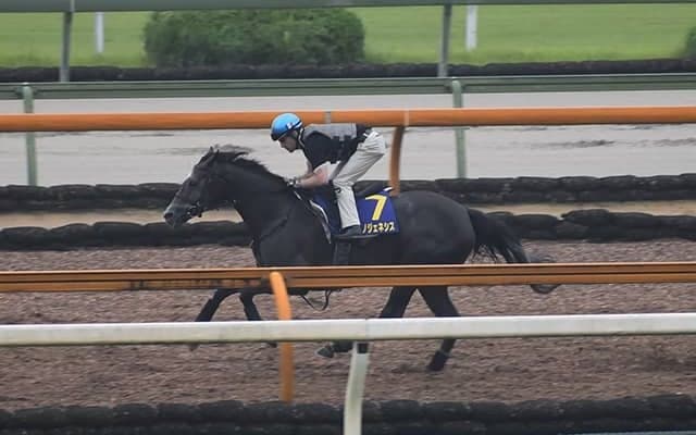 【宝塚記念 調教後馬体重】クロノジェネシスは482kg、レイパパレは442kg