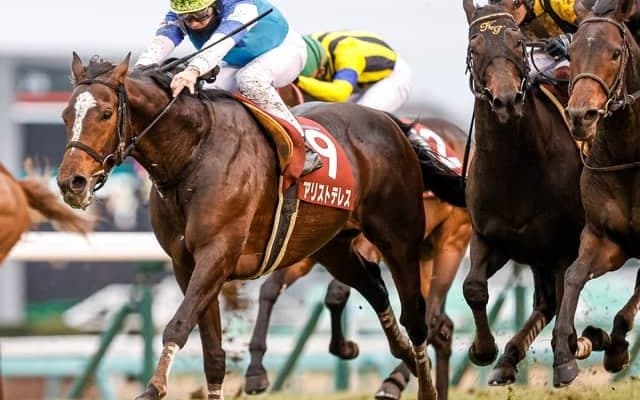 【宝塚記念予想】巻返しある！ テン乗りの武豊騎手はどう導くか/JRAレース展望