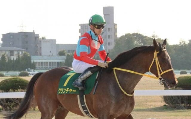 【帝王賞】JRA出走予定馬