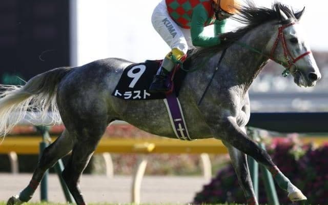 【JRA】トラストが競走馬登録抹消、乗馬に　16年札幌2歳S覇者、障害でも4勝あげる