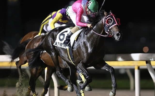 【船橋・短夜賞】6番人気エメリミットが勝利　林正人調教師「最後まで集中して走っていました」