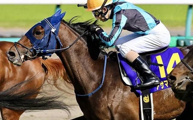 【ラジオNIKKEI賞想定】スプリングS2着アサマノイタズラ、アーリントンC2着リッケンバッカーなど17頭