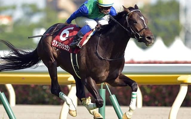 新種牡馬ヴァンキッシュラン産駒がJRA初出走　キタサンブラック、イスラボニータ産駒などもJRA初勝利目指す
