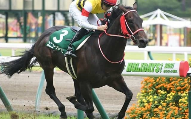 【宝塚記念予想】「ガンガン行こうぜ」の作戦で、グランプリの主役に躍り出る伏兵1頭/JRA重賞レース展望