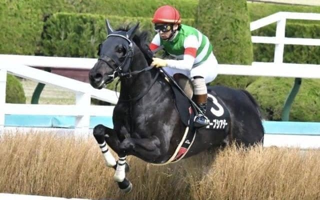 【本日の注目ポイント】東京で東京ジャンプS、阪神でソダシの全妹デビューなど