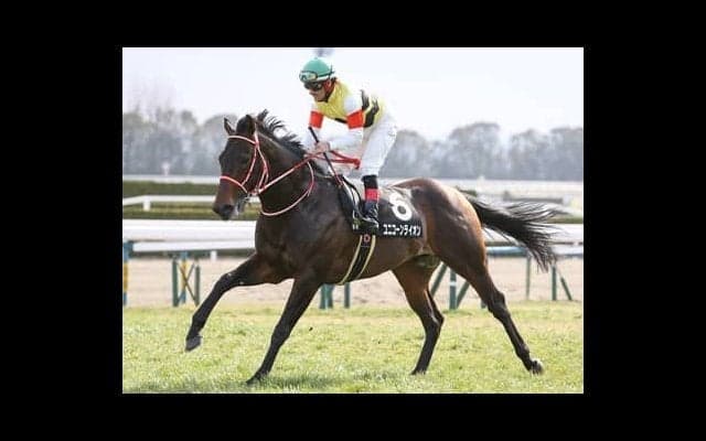 宝塚記念は２強の一騎打ちが濃厚も、素質開花の新勢力に一角崩しの期待