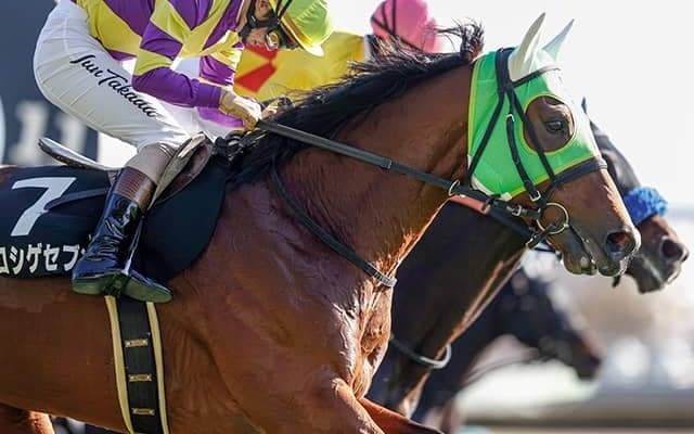 【東京ジャンプS予想】グローブシアターの陰に隠れた東京コース巧者にチャンス到来！