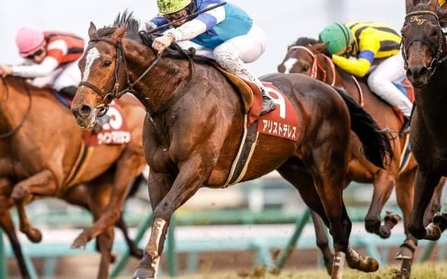 【宝塚記念】アリストテレス音無師「2200で真価が問われるが、やってくれると思っている」/ねぇさんのトレセン密着