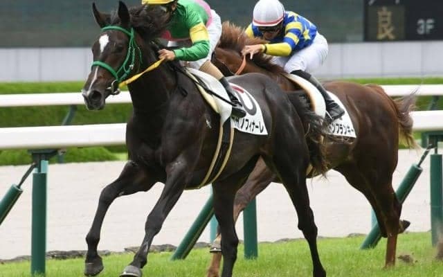 【阪神5R新馬戦結果】8番人気タガノフィナーレが逃げ切りV