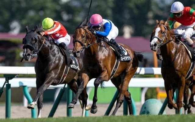 【TVh賞結果】9番人気ロードアクアが接戦を制す