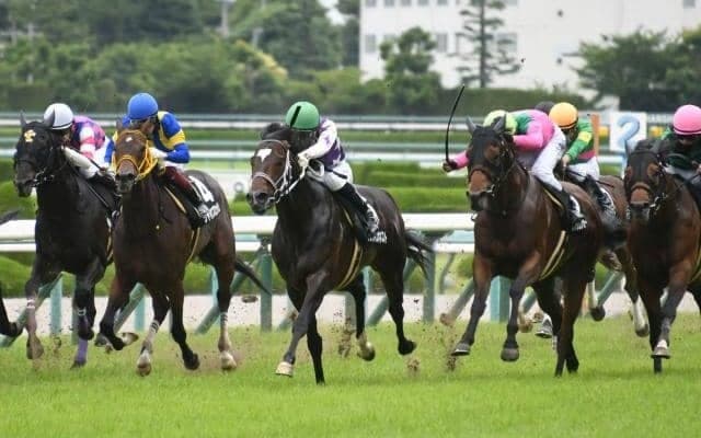 【万哲の馬場予報】速い馬場の適性が重視される可能性も/宝塚記念