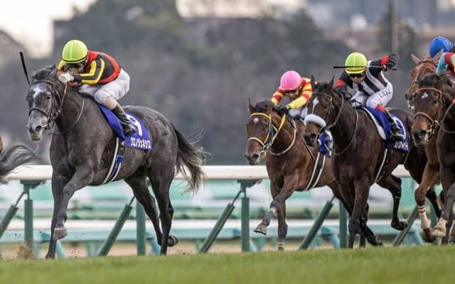 【WIN5予想】宝塚記念は前年の有馬記念で善戦した馬が堅実
