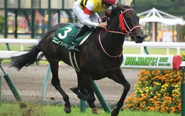 【宝塚記念】ユニコーンライオン陣営「いい意味でまだ底を見せていません」/ねぇさんのトレセン密着