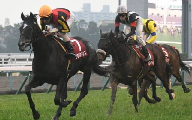 【宝塚記念2021 予想】穴党記者・万哲に聞く　「伏兵として好走する馬」「非根幹距離が得意な馬」「道悪巧者」など