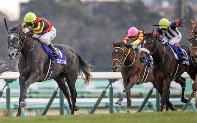 【本日の注目ポイント】上半期の総決算・宝塚記念